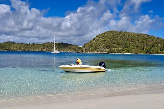 FANTASTIC Green Island and Sea Turtles - Half Day share boat trip - An In-Depth Look at the Tour Experience