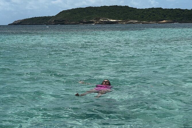 FANTASTIC Green Island and Sea Turtles - Half Day share boat trip - Final Thoughts