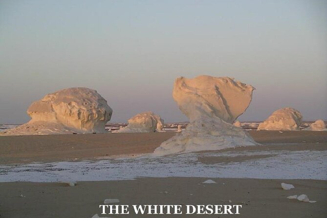 Fantastic Overnight White Desert and Baharya Oasis - Booking and Cancellation Policy