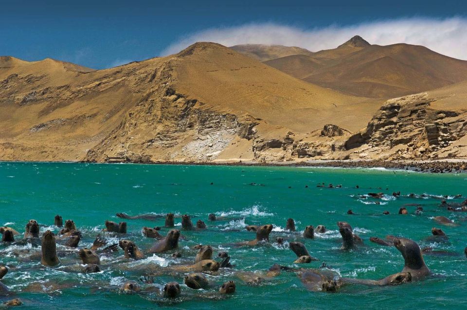 || Fantastic Peru Lima- Ica- Cusco, Sacred Valley, 7 Days || - Ballestas Islands and Huacachina