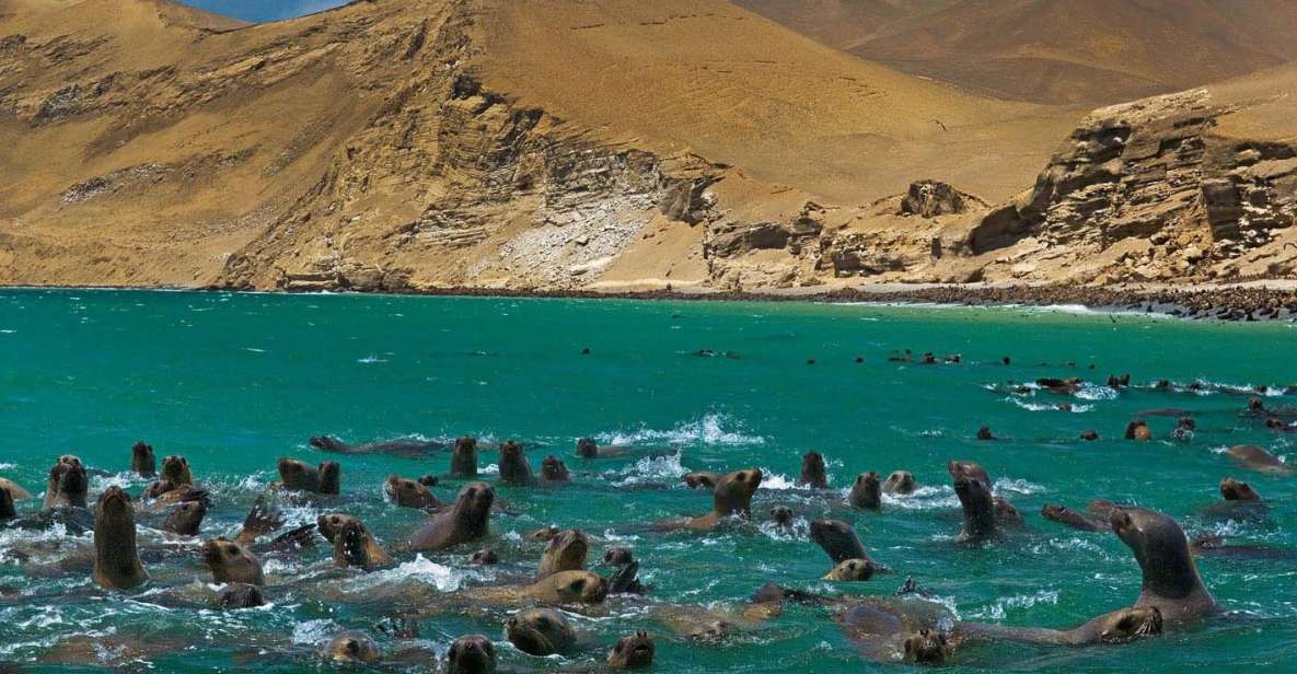 || Fantastic Peru Lima- Ica- Cusco, Sacred Valley, 7 Days || - Cusco Sightseeing