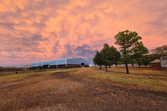 Farm Adventure Experience in Red Hill Ranch - FAQ