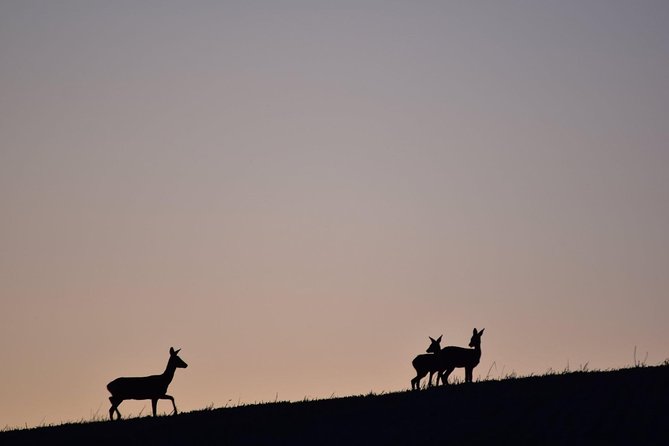 Farm Attraction - Convenient Location and Accessibility