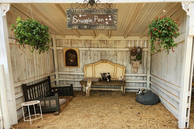 Farm Day Pass General Admission - Practicalities and Tips for Visitors