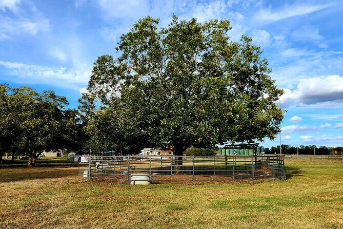Farm Day Pass General Admission - What Do Visitors Say?
