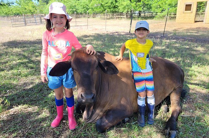 Farm Day Pass General Admission - Pricing and Value