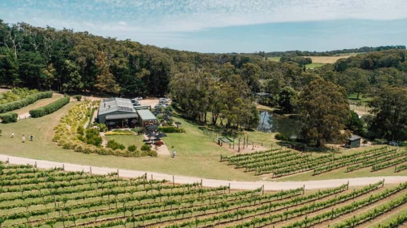 Farm Picnic for 2 adults - Key Points