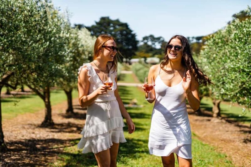 Farm Picnic for 2 adults - An Introduction to Green Olive at Red Hill’s Farm Picnic
