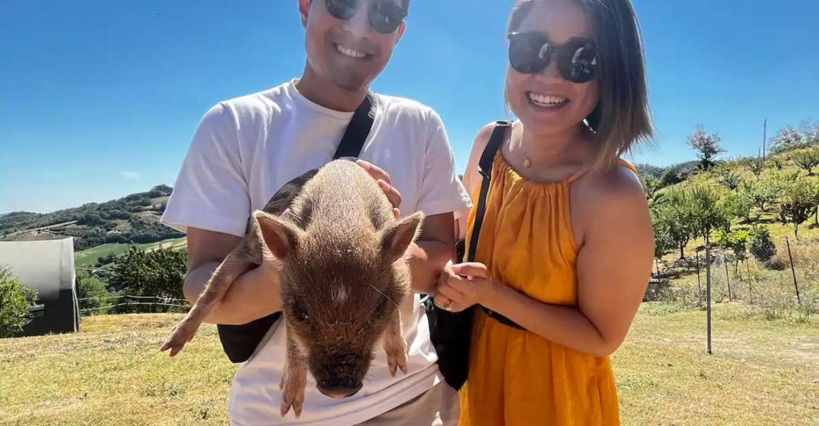 Farm Stay Experience & Dozza - Private Day Tour From Bologna - Key Points