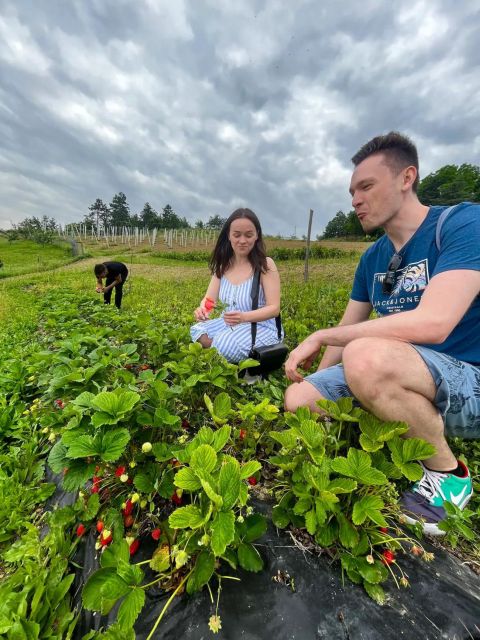 Farm Stay Experience & Dozza - Private Day Tour From Bologna - Itinerary Overview