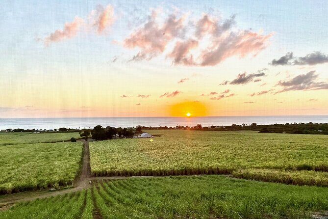 Farm to Bottle Tour at Prosperity Farm Distillery - Analyzing Value and Practical Details