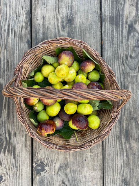 Farm to Fork in Sicily Southeast - Cooking Class in a Farm - Explore the Picturesque Noto Countryside