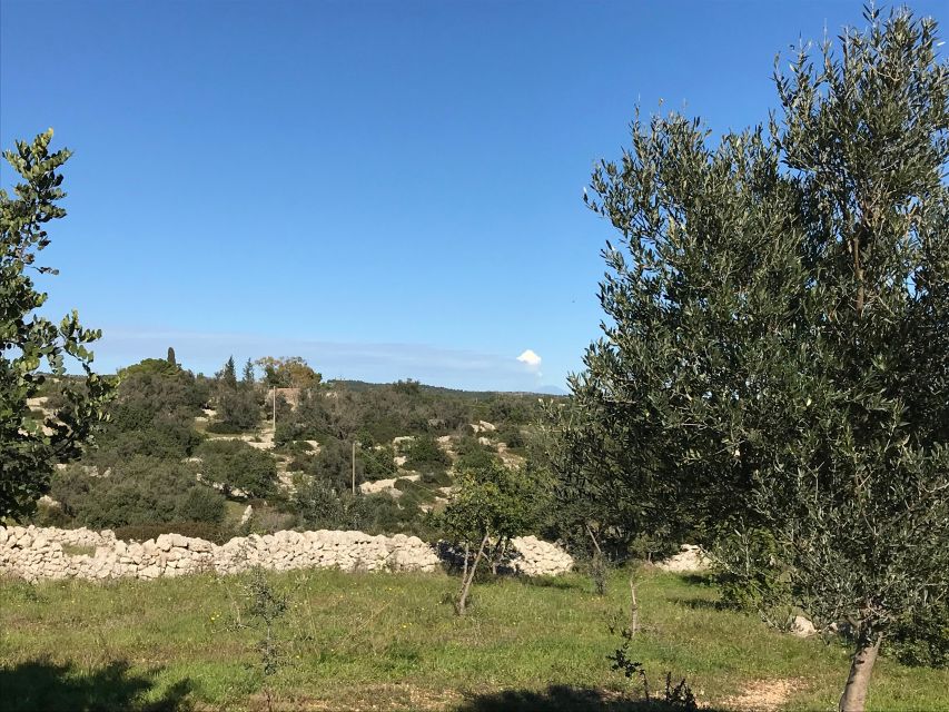 Farm to Fork in Sicily Southeast - Cooking Class in a Farm - Transportation and Meeting Details
