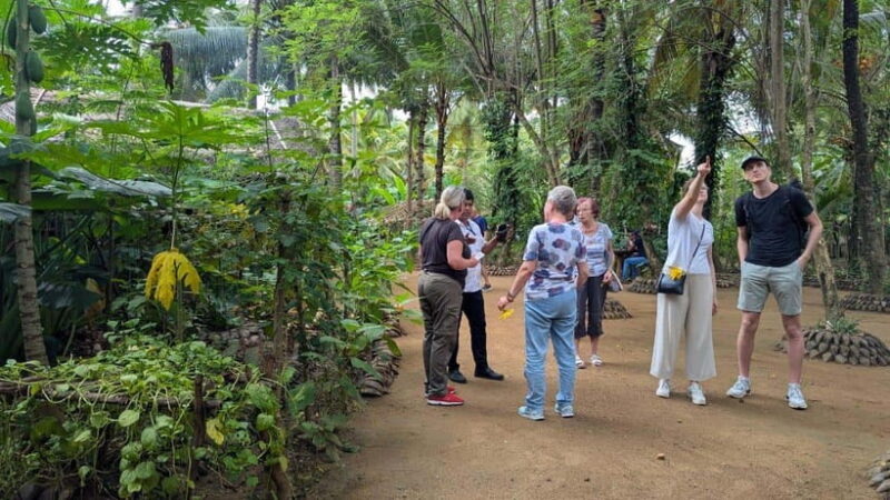 Farm to Table Cooking Class & Authentic Village Experience - A Step-by-Step Breakdown of the Itinerary