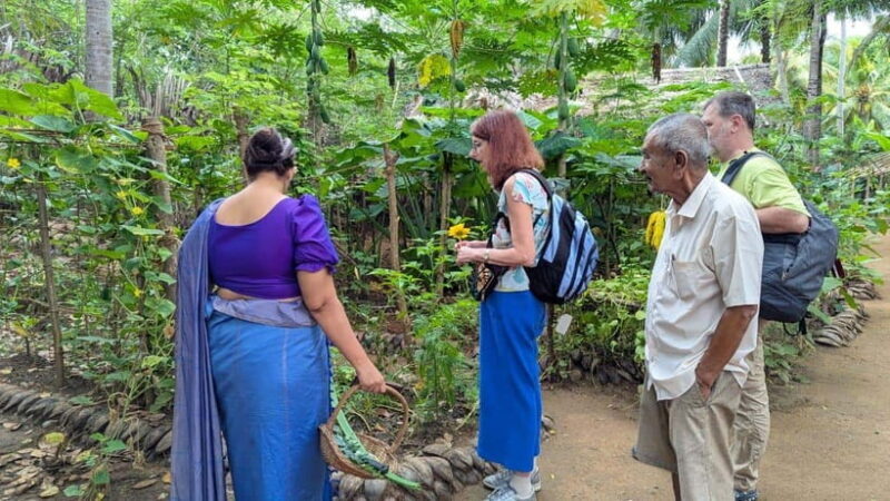 Farm to Table Cooking Class & Authentic Village Experience - Authenticity & Review Highlights