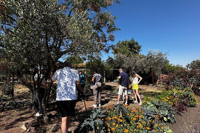 Farm to Table Cooking Experience in San Miguel - An In-Depth Look at the Experience