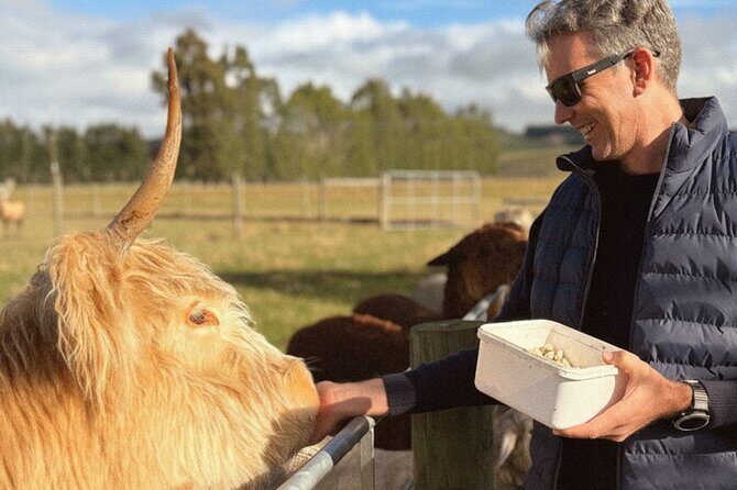 Farm Tour and Milford Sound Nature Cruise from Te Anau - Experience the Best of Fiordland: Farm Tour and Milford Sound Cruise from Te Anau