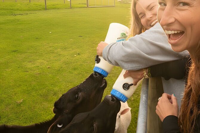 Farm Tour and Milford Sound Nature Cruise from Te Anau - An In-Depth Look at the Itinerary