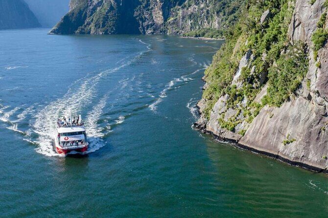 Farm Tour and Milford Sound Nature Cruise from Te Anau - Who Is This Tour Best For?