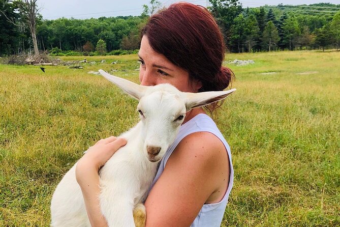 Farm Tour at Clover Brooke Llama/Alpaca/Goat Farm - Inclusions and Accessibility