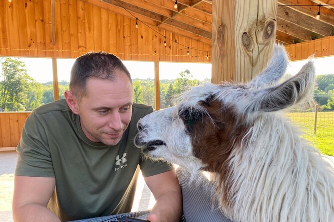 Farm Tour at Clover Brooke Llama/Alpaca/Goat Farm - Booking and Cancellation