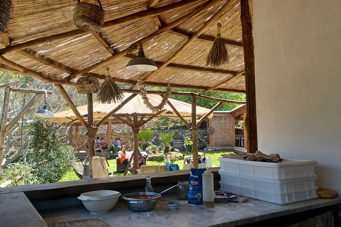 Farm Tour With Cheese & Pizza Experience, Wine & Limoncello Test - Tour Timing and Capacity
