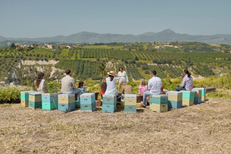 Farm Vegetables Tour & Salad Making - Experience Highlights