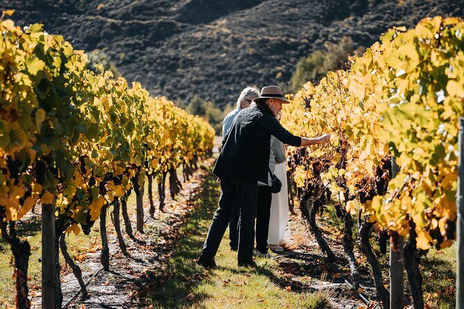 Farm & Wine Experience Fun Experience from Queenstown New Zealand - Value and Price Analysis