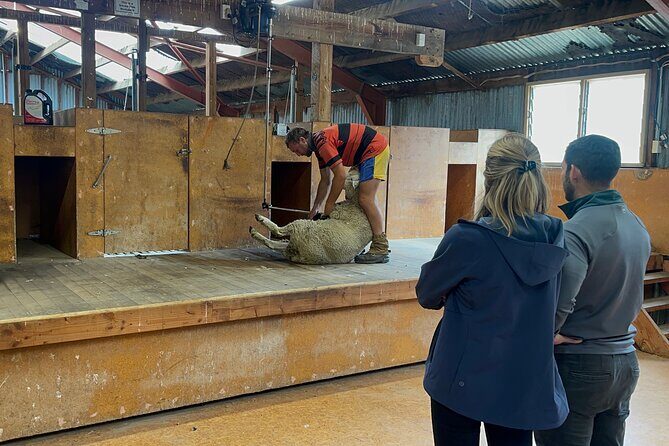 Farm & Wine Experience Fun Experience from Queenstown New Zealand - Final Thoughts