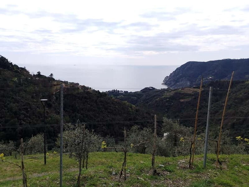 Farmhouse aperitif + electric bike tour in Monterosso al Mare - Practical Considerations