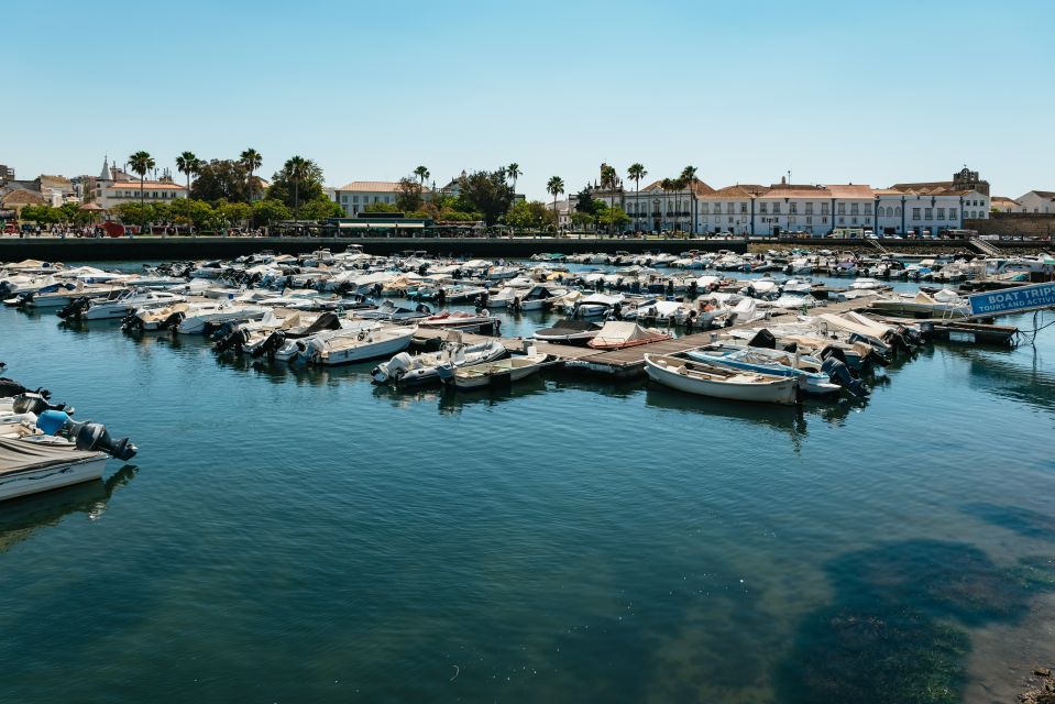 Faro: Deserta Island and Farol Island Catamaran Boat Trip - Key Points
