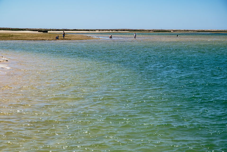 Faro: Deserta Island and Farol Island Catamaran Boat Trip - Getting There