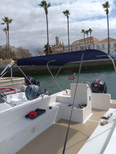Faro: Dolphin and Marine Life Watching Boat Tour - Itinerary