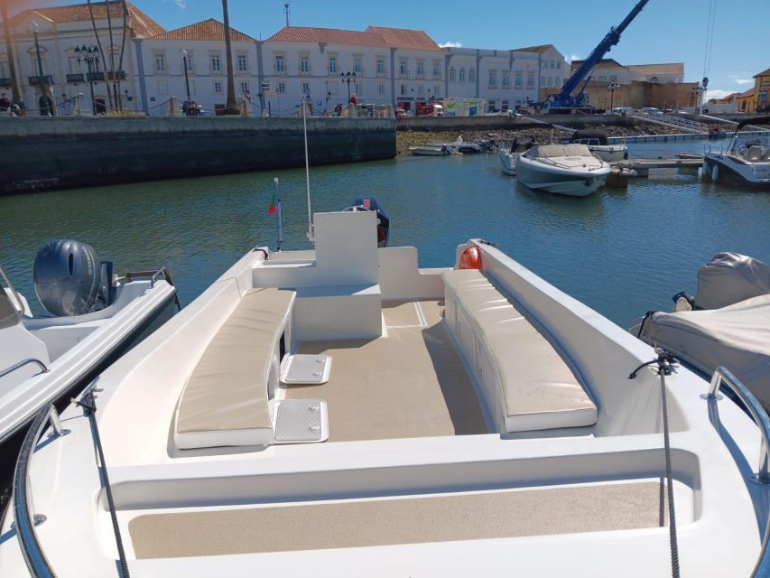 Faro: Dolphin and Marine Life Watching Boat Tour - Customer Reviews