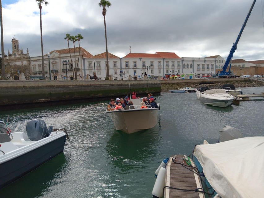 Faro: Dolphin and Marine Life Watching Boat Tour - Directions