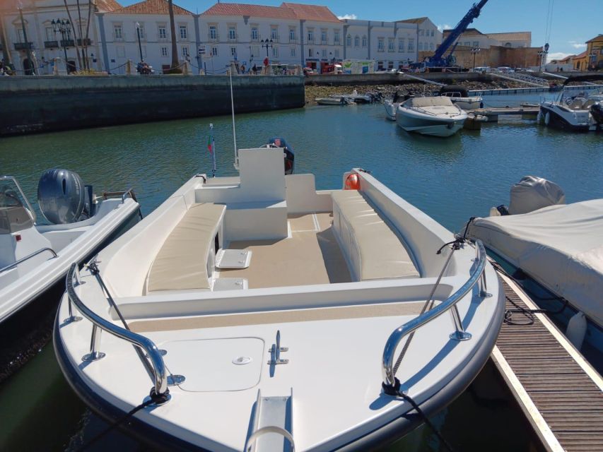 Faro: Dolphin and Marine Life Watching Boat Tour - Tour Prerequisites