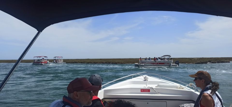 Faro: Dolphin and Marine Life Watching Boat Tour - Tour Highlights