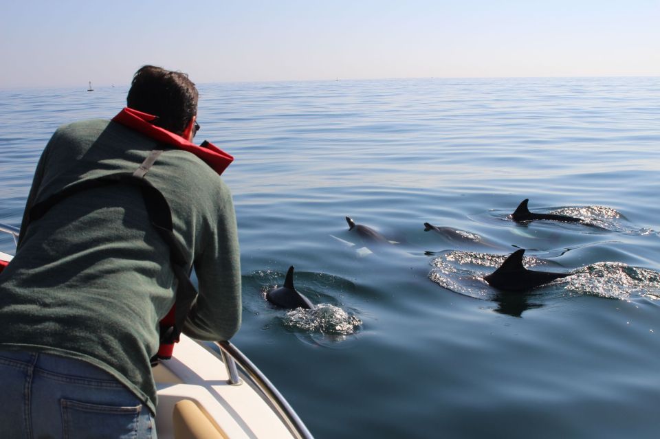 Faro: Dolphin and Marine Life Watching Boat Tour - Frequently Asked Questions