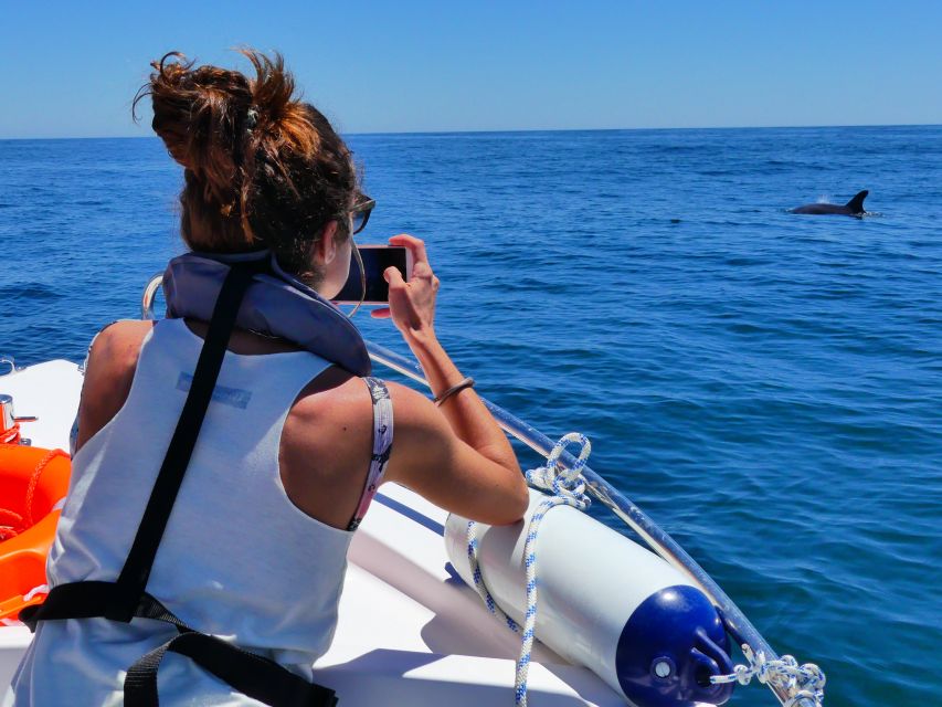 Faro: Dolphin and Wildlife Watching in the Atlantic Ocean - Who Can Join the Cruise