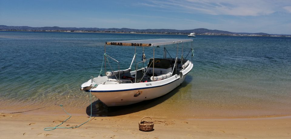 Faro: Eco-Friendly Ria Formosa Bird Watching in Solar Boat - Self-Regenerating Ecosystem Insights