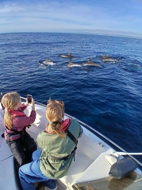Faro: Funtastic Dolphin Watching Boat Tour - The Sum Up