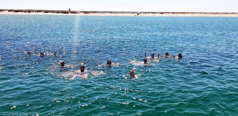 Faro: Half Day Private Tour in Ria Formosa Natural Park - Final Thoughts: Who Should Book This Tour?