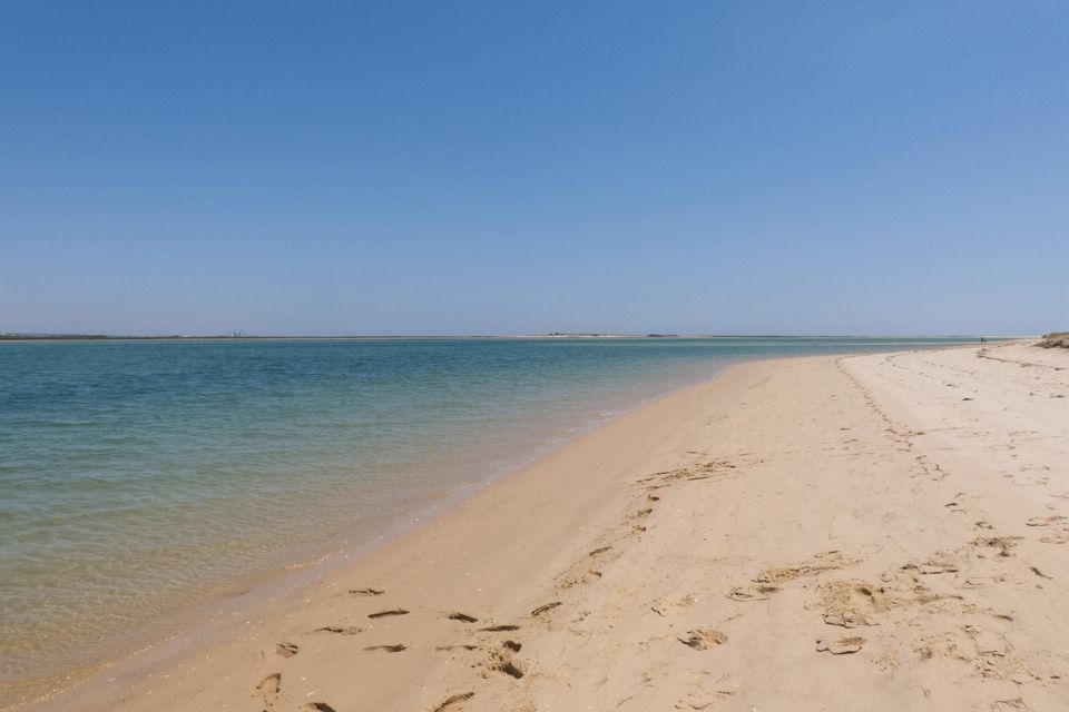 Faro: Kayak Hire in Ria Formosa Natural Park - Safety and Requirements