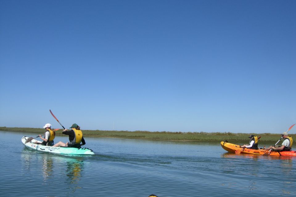 Faro: Kayak Hire in Ria Formosa Natural Park - Traveler Experiences