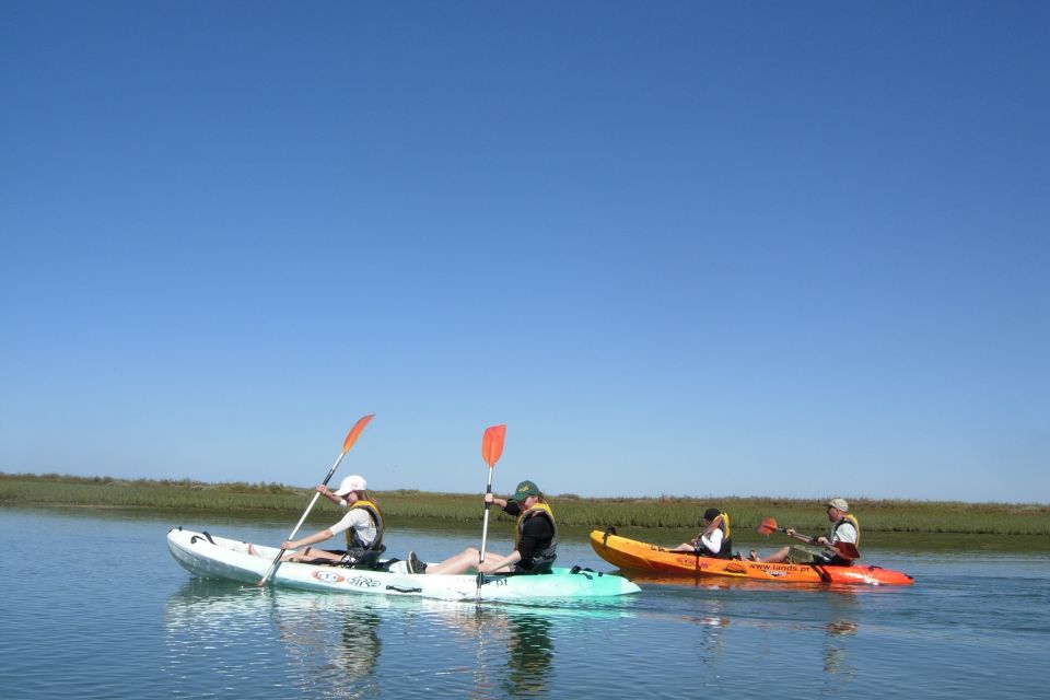 Faro: Kayak Hire in Ria Formosa Natural Park - Rental Options and Pricing
