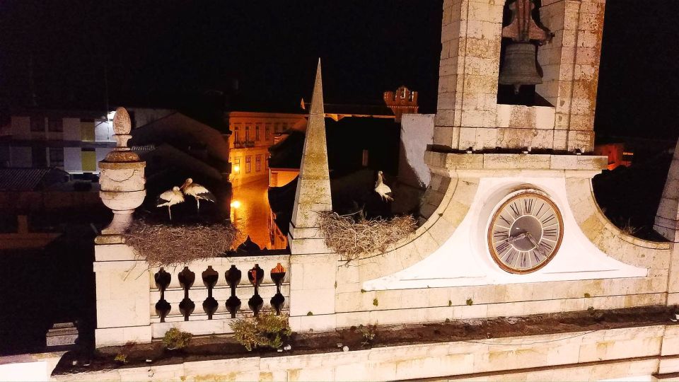 Faro: Night Segway Tour With Cocktails - Exploring Faros Vibrant Nightlife