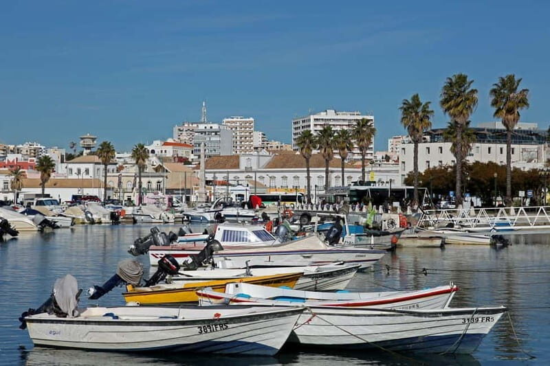 Faro: Private City 2 Hour Sightseeing Tour with Local - Exploring Faro in Just Two Hours: What You Can Expect
