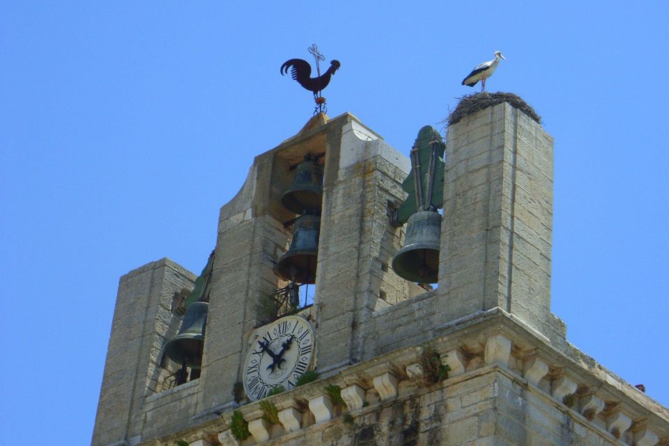 Faro Private Walking Tour - Conquest and Royal Era