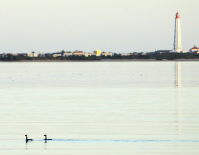 Faro: Pudim Real Boat Tours 6-Hour Boat Tour to the Ria Formosa - Preparing for the Tour