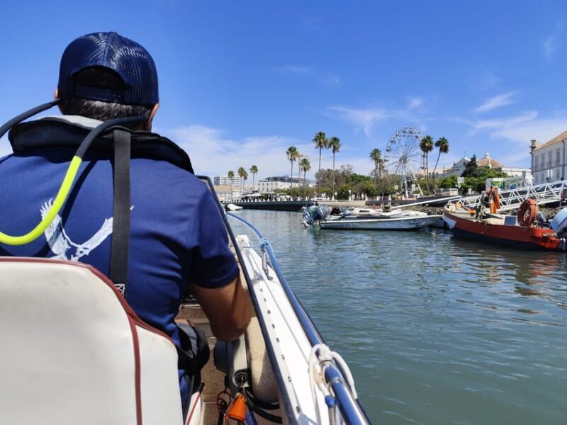 Faro: Pudim Real Boat Tours 6h guided boat tour Ria Formosa - Frequently Asked Questions